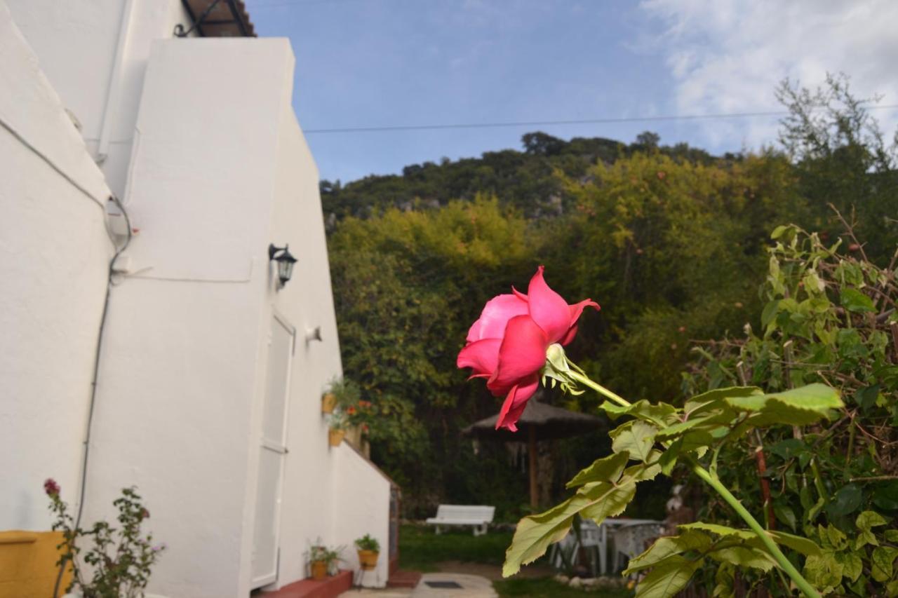 Casa La Cascada Villa El Bosque Exterior photo
